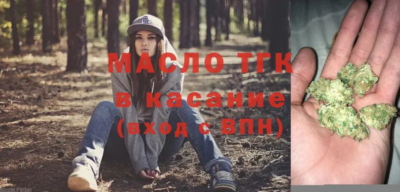 купить закладку  mega сайт  ТГК гашишное масло  Камбарка 